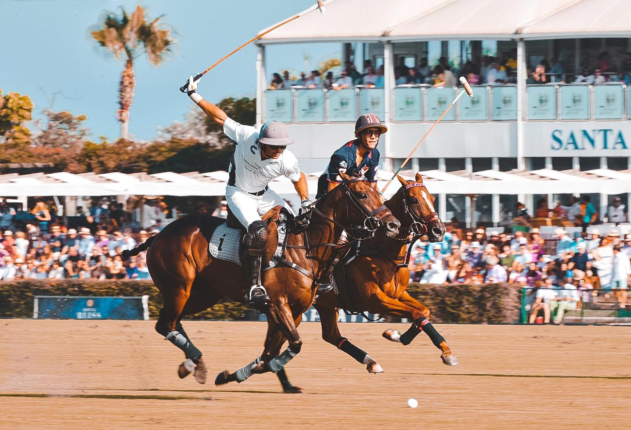 Sotogrande – Sporty
